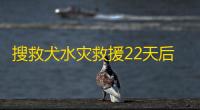 搜救犬水灾救援22天后殉职 主人洒泪:它太累了